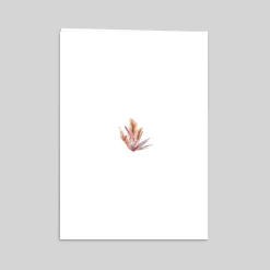 Livret De Messe Mariage^Planet cards Amour Bohème