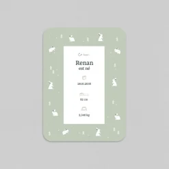 Faire-part Naissance Animaux | Faire-part Naissance Garçon^Planet cards Arctique Lapin