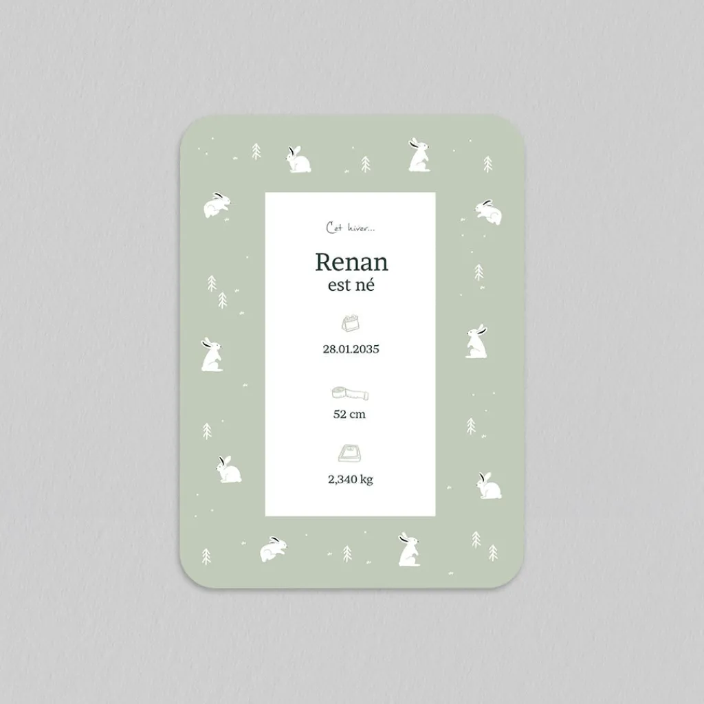 Faire-part Naissance Animaux | Faire-part Naissance Garçon^Planet cards Arctique Lapin