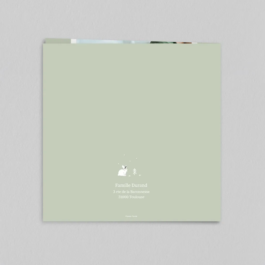 Faire-part Naissance Animaux | Faire-part Naissance Garçon^Planet cards Arctique Lapin