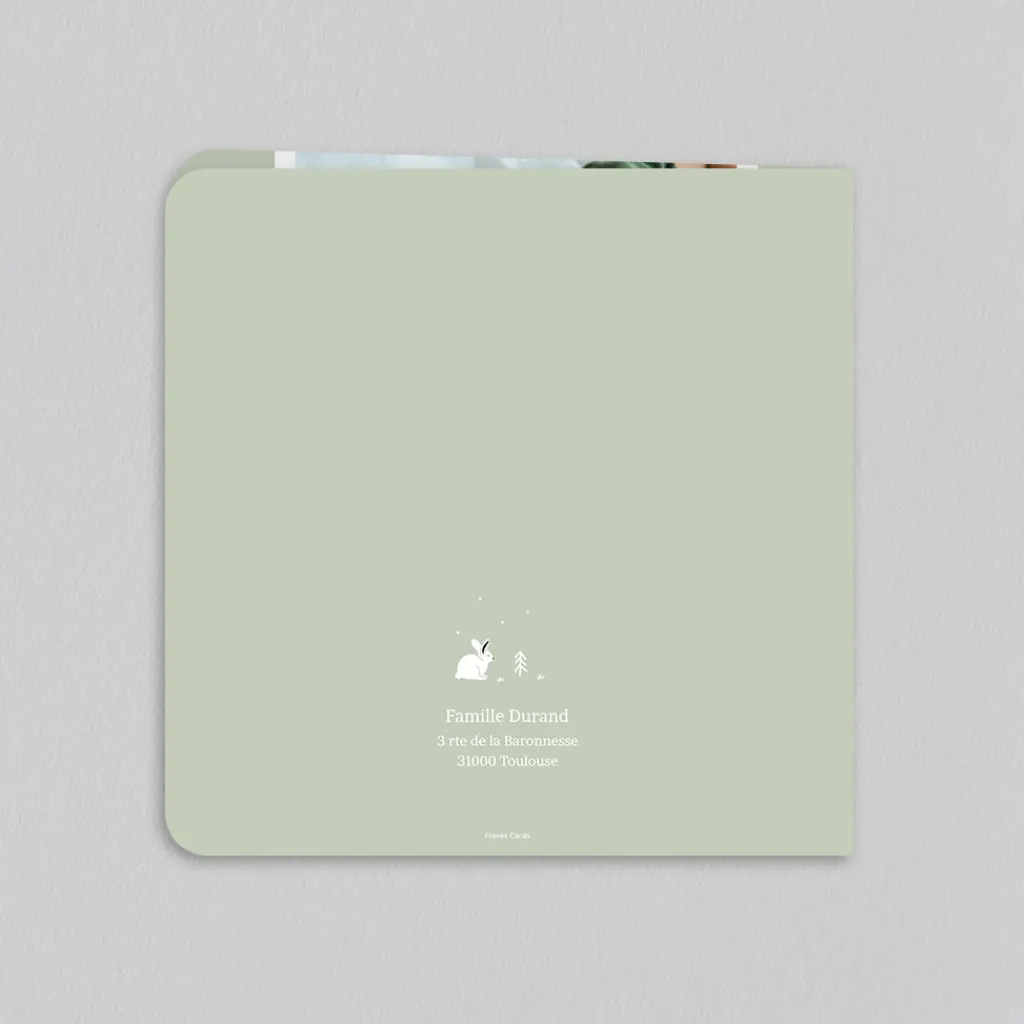 Faire-part Naissance Animaux | Faire-part Naissance Garçon^Planet cards Arctique Lapin