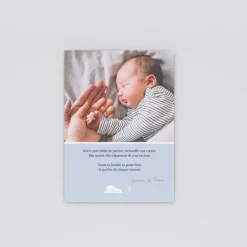 Faire-part Naissance Animaux | Faire-part Naissance Fille^Planet cards Arctique Ours