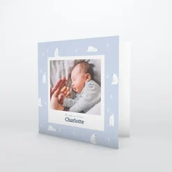 Faire-part Naissance Animaux | Faire-part Naissance Fille^Planet cards Arctique Ours et photo vintage