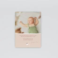 Faire-part Naissance Animaux^Planet cards Arctique Pingouin et photo vintage