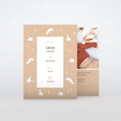 Faire-part Naissance Animaux | Faire-part Naissance Garçon^Planet cards Arctique Renard