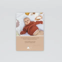 Faire-part Naissance Animaux | Faire-part Naissance Garçon^Planet cards Arctique Renard