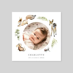 Faire-part Naissance Animaux | Faire-part Naissance Fille^Planet cards Ballade en Forêt