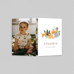 Faire-part Naissance Animaux | Créations En Collaboration^Planet cards Bébé de la Savane