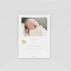 Faire-part Naissance Animaux | Faire-part Naissance Fille^Planet cards Bébé Tortue Fille