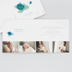 Faire-part Naissance Animaux | Faire-part Naissance Garçon^Planet cards Bébé Tortue Garçon