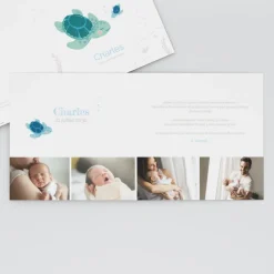 Faire-part Naissance Animaux | Faire-part Naissance Garçon^Planet cards Bébé Tortue Garçon