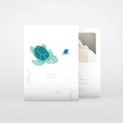 Faire-part Naissance Animaux | Faire-part Naissance Garçon^Planet cards Bébé Tortue Garçon
