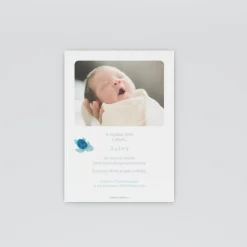 Faire-part Naissance Animaux | Faire-part Naissance Garçon^Planet cards Bébé Tortue Garçon