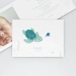 Faire-part Naissance Animaux | Faire-part Naissance Garçon^Planet cards Bébé Tortue Garçon