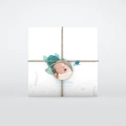 Faire-part Naissance Animaux | Faire-part Naissance Garçon^Planet cards Bébé Tortue Garçon