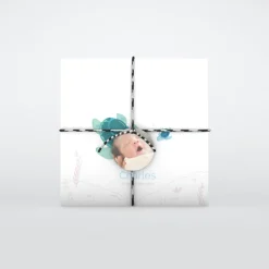 Faire-part Naissance Animaux | Faire-part Naissance Garçon^Planet cards Bébé Tortue Garçon