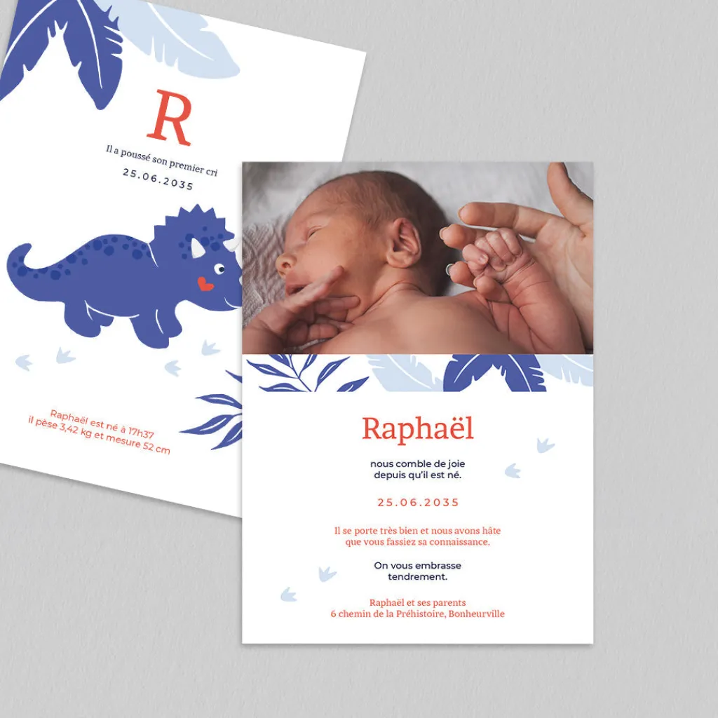 Faire-part Naissance Animaux | Faire-part Naissance Garçon^Planet cards Bébé Triceratops