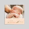 Faire-part Naissance Fille^Planet cards Bienvenue Et Petites Fleurs