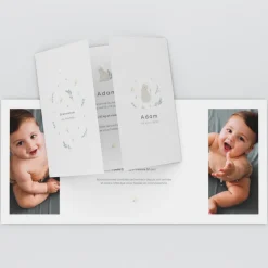 Faire-part Naissance Animaux | Faire-part Naissance Fille^Planet cards Bienvenue Petit Chat