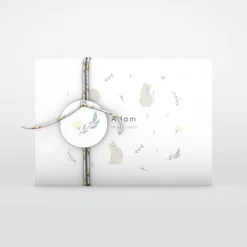 Faire-part Naissance Animaux | Faire-part Naissance Fille^Planet cards Bienvenue Petit Chat