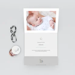Faire-part Naissance Animaux | Faire-part Naissance Fille^Planet cards Bienvenue Petit Chat