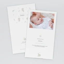 Faire-part Naissance Animaux | Faire-part Naissance Fille^Planet cards Bienvenue Petit Chat
