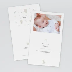 Faire-part Naissance Animaux | Faire-part Naissance Fille^Planet cards Bienvenue Petit Chat