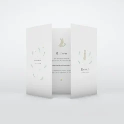 Faire-part Naissance Animaux^Planet cards Bienvenue Petit Lapin