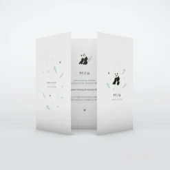 Faire-part Naissance Animaux^Planet cards Bienvenue Petit Panda