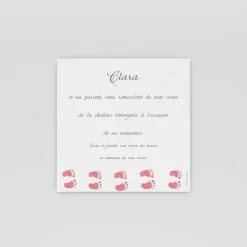 Carte Remerciement Naissance Classique | Carte Remerciement Naissance Garçon^Planet cards Cadre végétal