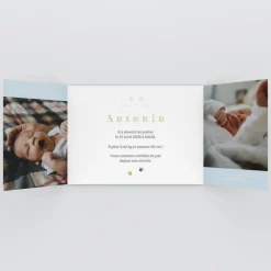 Faire-part Naissance Animaux | Faire-part Naissance Garçon^Planet cards Chaton