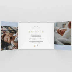 Faire-part Naissance Animaux | Faire-part Naissance Garçon^Planet cards Chaton