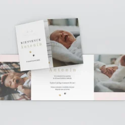 Faire-part Naissance Animaux | Faire-part Naissance Garçon^Planet cards Chaton