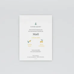 Faire-part Naissance Fille | Faire-part Naissance Garçon^Planet cards Citrons