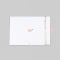 Faire-part Baptême Fille^Planet cards Colombe Et Brin De Feuille
