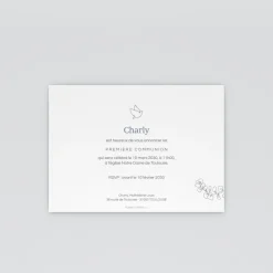 Faire-part Communion^Planet cards Colombe et Feuilles