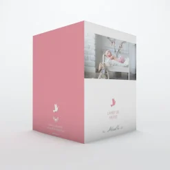 Livret De Baptême^Planet cards Colombe paix
