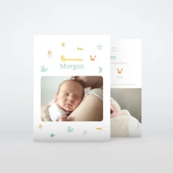Faire-part Naissance Fille | Faire-part Naissance Garçon^Planet cards Coquillages Et Crustacés