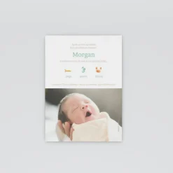 Faire-part Naissance Fille | Faire-part Naissance Garçon^Planet cards Coquillages Et Crustacés