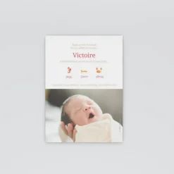 Faire-part Naissance Animaux | Faire-part Naissance Fille^Planet cards Coquillages Et Crustacés Fille