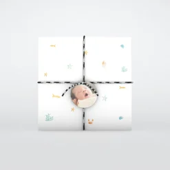 Faire-part Naissance Animaux | Faire-part Naissance Garçon^Planet cards Coquillages et Petit Crabe