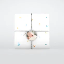 Faire-part Naissance Animaux | Faire-part Naissance Garçon^Planet cards Coquillages et Petit Crabe Garçon