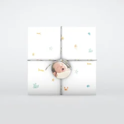 Faire-part Naissance Animaux | Faire-part Naissance Garçon^Planet cards Coquillages et Petit Crabe