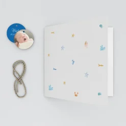 Faire-part Naissance Animaux | Faire-part Naissance Garçon^Planet cards Coquillages et Petit Crabe Garçon
