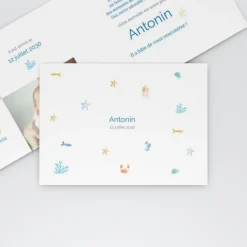 Faire-part Naissance Animaux | Faire-part Naissance Garçon^Planet cards Coquillages et Petit Crabe Garçon