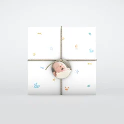 Faire-part Naissance Animaux | Faire-part Naissance Garçon^Planet cards Coquillages et Petit Crabe Garçon