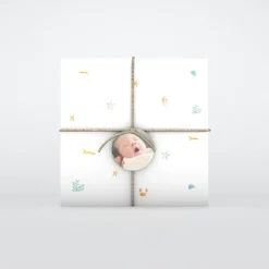Faire-part Naissance Animaux | Faire-part Naissance Garçon^Planet cards Coquillages et Petit Crabe