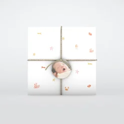 Faire-part Naissance Animaux | Faire-part Naissance Fille^Planet cards Coquillages Et Étoiles De Mer Fille