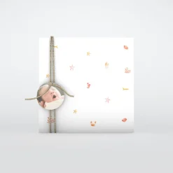 Faire-part Naissance Animaux | Faire-part Naissance Fille^Planet cards Coquillages Et Étoiles De Mer Fille