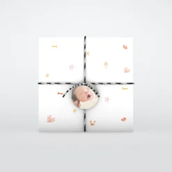 Faire-part Naissance Animaux | Faire-part Naissance Fille^Planet cards Coquillages Et Étoiles De Mer Fille